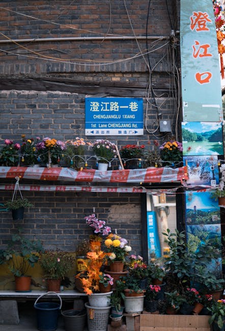 Ciqikou Ancient Town