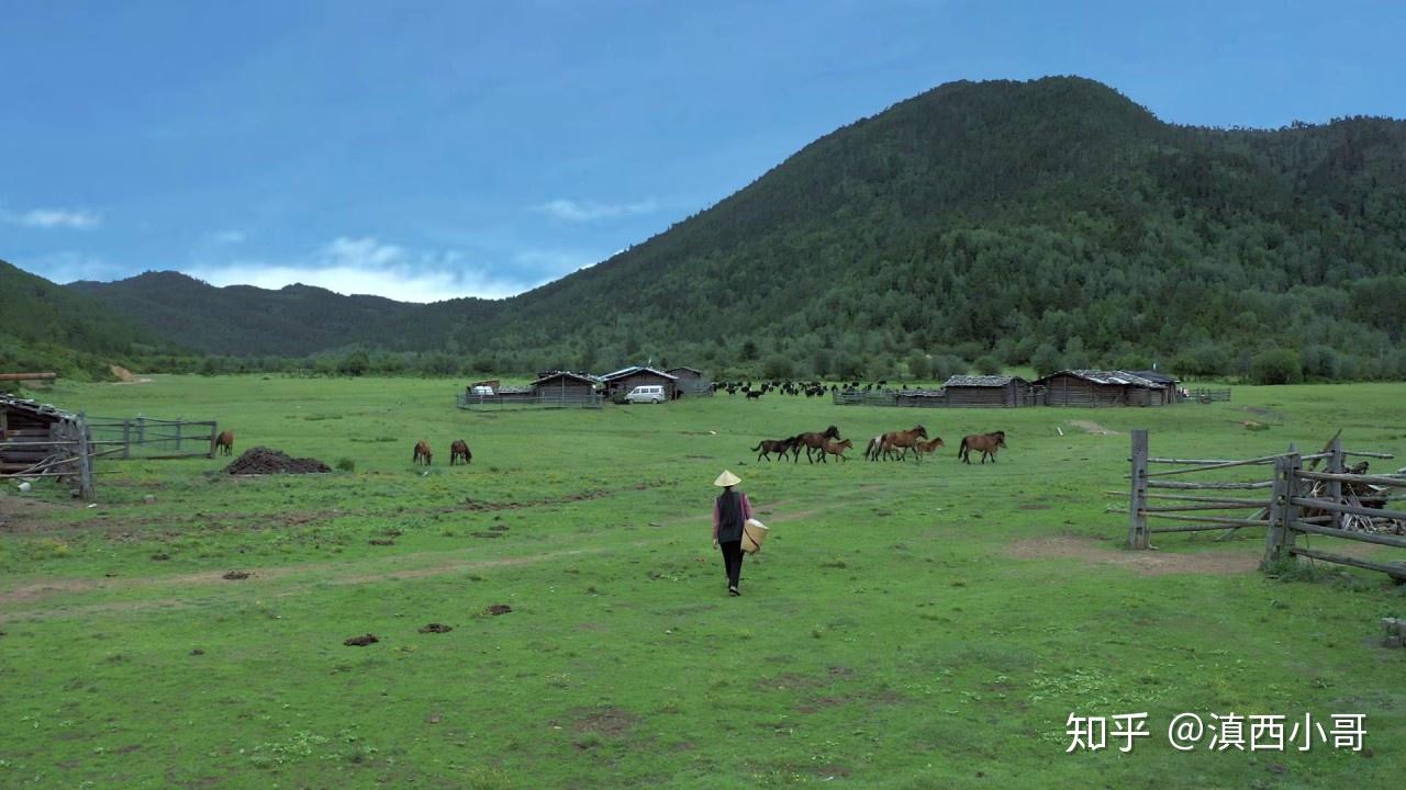 Shangri-La yak meat