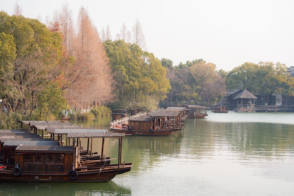 Xixi Wetland — reed marshes and wooden walkways