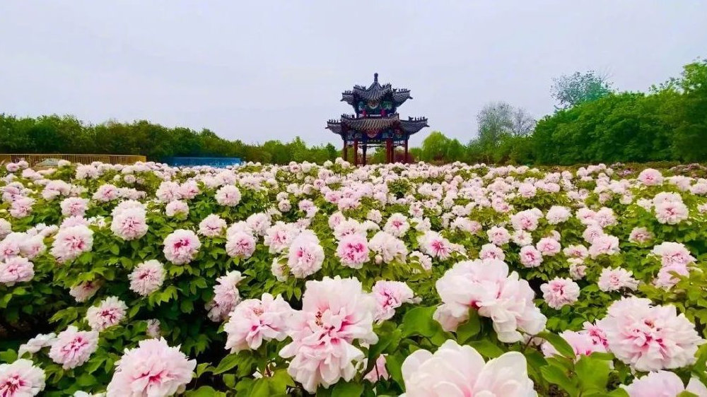 Heze city skyline, China