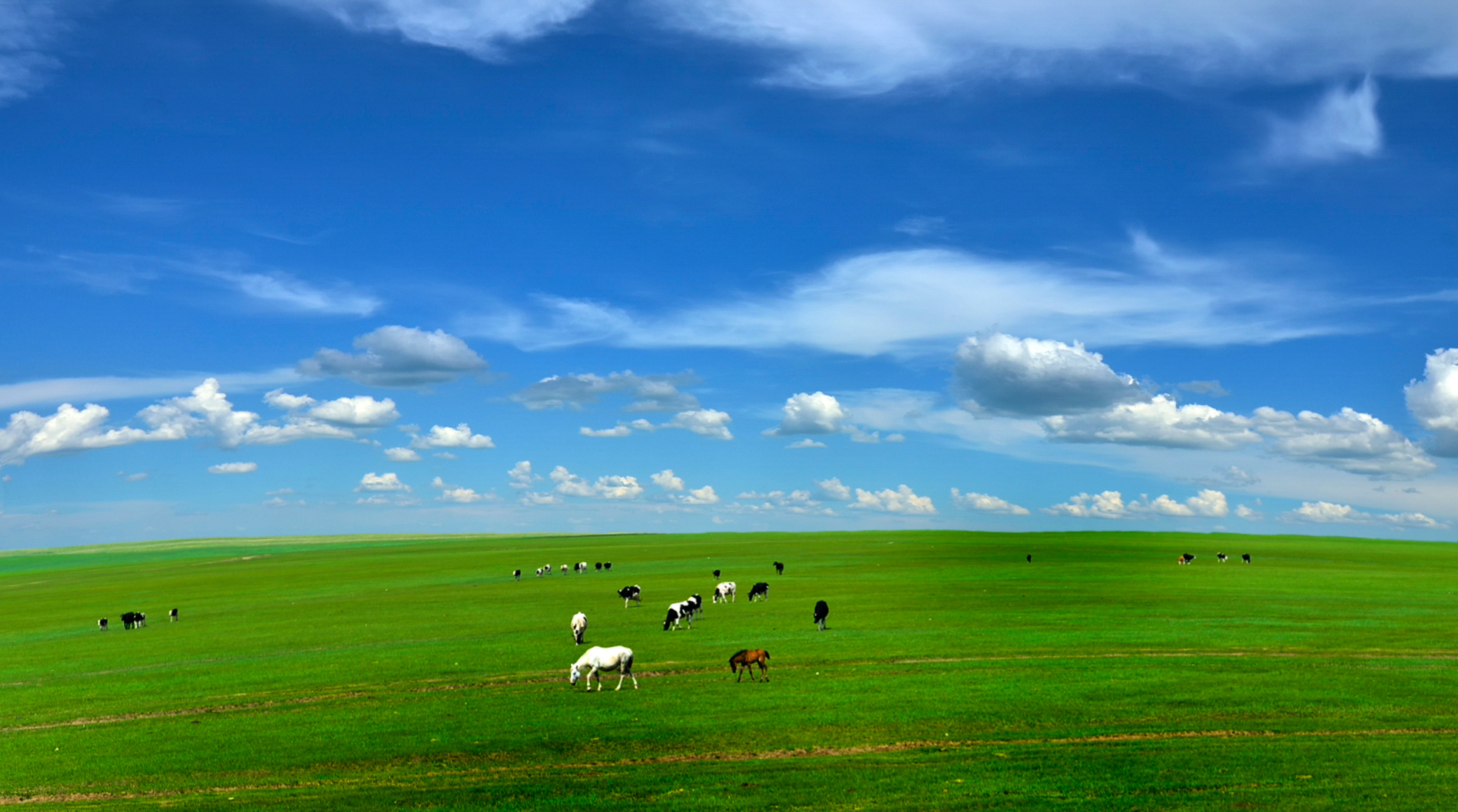 Hulunbuir city skyline, China